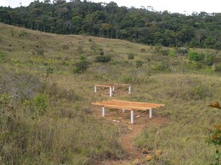 The foundations of the Eco Cabanas are simple, rectangular elevated platforms.