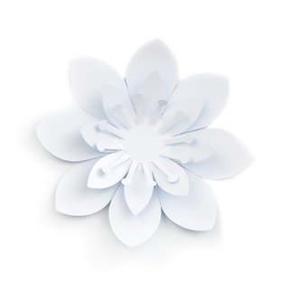 Blooms pop-up card by Artecnica