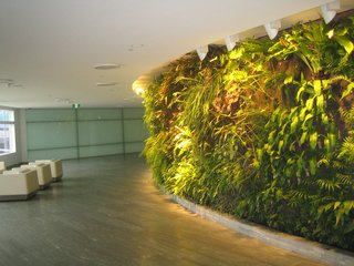 Qantas First Lounge: Sydney - Photo 1 of 7 -