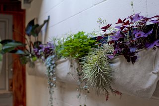 The Wally Five pocket (seen here in cream) creates a living wall in any space--inside or out.