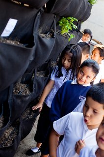 At one school, Woolly Pocket and School Nutrition Plus installed pockets for 100 students, just more than were members of the club. Ever since, more and more kids have joined and wanted to plant pockets of their own.<br><br>Photo by <br><br>Suthi Picotte