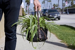 Woolly Pocket's newest product is Woolly Vagabond, a pocket that can be carried as a purse, placed on a table, or hung from the ceiling.