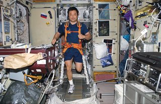 Space life doesn’t differ much from the daily grind on Earth—–it just demands more attention. Leroy Chiao’s daily workout requires tying on both sneakers and <br><br>a bungee harness before putting in miles on the TVIS ("treadmill vibration isolation system"). Image courtesy of NASA.