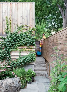 In the back, ivy climbs across the garage’s raw cedar cladding next to a gate that allows access to the laneway—but the boys prefer to climb the fence.