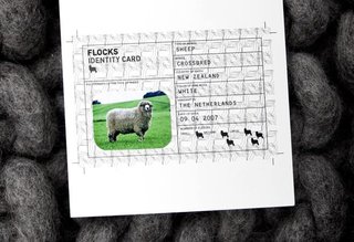 The Sheep Who Made Your Pouf - Photo 1 of 2 -