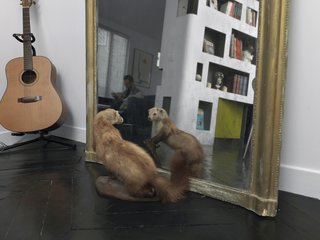 Add a caption