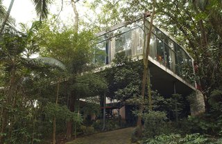 Lina Bo Bardi - Photo 6 of 14 - The Glass House as it appears today, with the forest grown around it, as Bo Bardi had anticipated—she insisted that the displaced vegetation be replanted just after the house was finished. Photo courtesy Espasso.