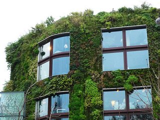 The vertical garden at the Musée du Quai Branly in Paris, France, designed by Patrick Blanc.