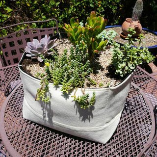 Woolly Pocket’s breathable fabric planters, made of recycled plastic bottles, whick water away to avoid root rot and are available in nine different sizes and shapes (ranging from $29 to $247) and three colors that include both freestanding and modular living-wall models. If you’re brave enough, you can even carry your plant and its planter around as a tote with the Woolly Vagabond "living breathing handbag."