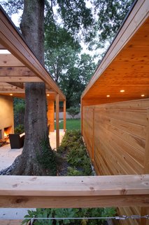To save the tree, Carpenter called in an arborist, who helped Carpenter and the Domineys nurse it back to health. Carpenter then built the parts of the pavilion around the tree, moved the foundation away from the roots, and used permeable concrete slabs so that water would properly drain into the ground.