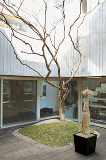 A single crepe myrtle, which sports red blossoms in summer, defines the courtyard.