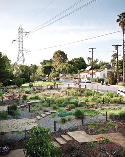 Lucky 7 - Photo 6 of 15 - Residents have leased and transformed adjacent vacant land owned by the Department of Water and Power into a community garden.
