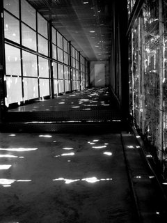 The Stealth Winery - Photo 6 of 9 - Sunlight shines through the gabions, peppering the interior with natural ornamentation.