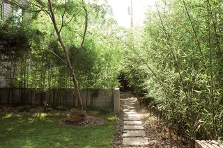 Bamboo dominates the rest of the yard, where Rick planted three different kinds: golden, variegated, and moso.
