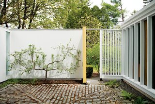 Isaacson "borrows the view" of a neighbor's magnolia on the adjacent property by propping open the side door. His own espaliered apple tree makes the most of limited space.