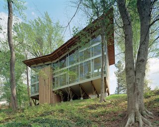 Guide to 7 Main Types of Roofs and What You Need to Know About Them - Photo 13 of 15 - A gravity-defying cantilever and a butterfly roof make this house appear as if it were precariously perched on the hillside.