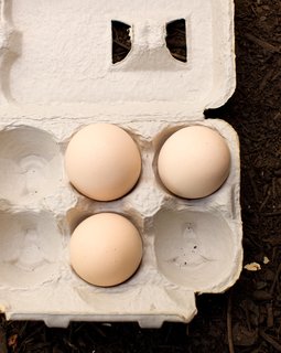 In the warm months, each of the couple's three hens lays an egg a day. "It's a good thing we can only have a few chicken," Snyder says. "That'd be a lot of cholesterol to eat otherwise." Fortunately for Snyder and Martin, the hens' production slows to an egg per week in cool months (and some chickens stop laying eggs altogether in the winter). But even in the summer, the couple has plenty of friends happy to share a scramble.
