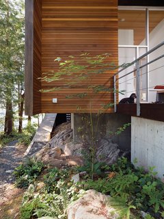 The cantilevered main floor creates space for bracken fern and other indigenous vegetation to flourish.