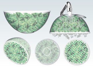 Lettuce Container, created by Pratt Institute student Ali MacDonald for a Structural Packaging class.