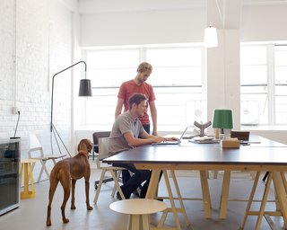 Furniture Design: Misewell - Photo 2 of 5 - Brothers Paul and Vincent Georgeson in their studio, surrounded by their own designs (and dog Penny).
