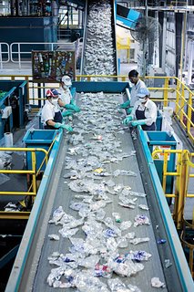 Bottles are sorted on a conveyor belt.