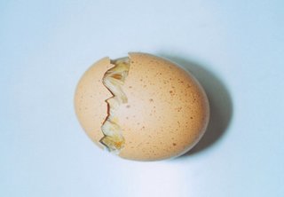 Friday Finds 1.28.11 - Photo 1 of 5 - Photograph by Rinko Kawauchi.