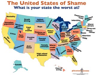 Friday Finds 1.28.11 - Photo 3 of 5 - The United States of Shame.