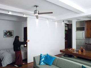 To make the modest space flexible, Robert built a sliding wall with QuietRock soundproofing drywall on the living-room side and rich PureBond walnut-veneer plywood on the bedroom side. When the wall is closed, the bedroom becomes private, and art books and collectibles are revealed on built-in shelves in the living room. quietrock.com