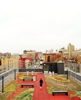 The Brook occupies what had, for years, been a vacant lot. "Before we built on it, there were remnants of dead chickens from who knows what sort of illicit activities," says project architect Coren Bomback.