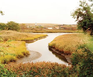 Staten Island - Photo 1 of 3 - In 1948, when filling began, Fresh Kills’ "marshy, low-lying wetlands weren’t prized—people thought they were breeding grounds for mosquitoes," Grassi says.