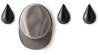 What would you call this teardrop shaped wall hook?