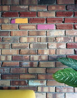 The house that came with the lot had suffered years of neglect, but its old bricks were readily salvageable. Moore combined these with others taken from local demolition yards, piecing together beautiful, two-tone walls flecked with brightly painted pink, orange, lime green, and white bricks salvaged from a Denver elementary school.