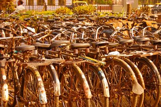 Motorcycles may rule city streets in India, but bicycles are everywhere, too.