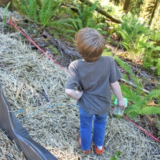 Building the Maxon House: Week 12 - Photo 7 of 11 - One of Jack's favorite activities has been visiting the site and collecting bugs and insects of all sorts. Here he checks out his options while standing at the slope's edge.