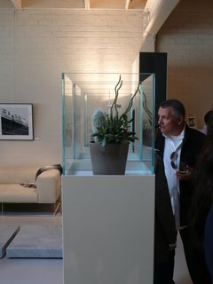 10 Minutes With Piero Lissoni - Photo 4 of 7 - A favorite motif of Lissoni’s is the atrium tower; here, cacti and succulents are housed within a trio placed together.
