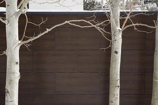 A sexy new material takes the place of traditional siding.