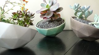 Design Truck - Photo 3 of 6 - Kelly Lamb's Geo Planters