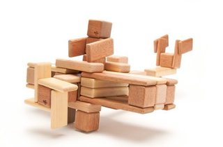 2011 Dwell on Design Awards - Photo 10 of 12 - Blocks by Tegu.
