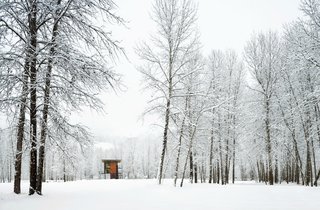 Delta Shelter, a cabin getaway on the same property as the Rolling Huts. We visited the owner and his wife during one of our visits to get an in-person reference for Tanner Construction. It was wonderful to see the house in person after drooling over it in the pages of Tom Kundig: Houses. Photo by Tim Bies.