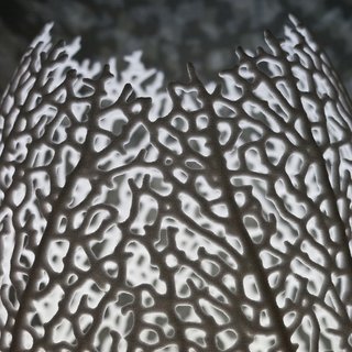 Coral Motifs - Photo 2 of 3 - The lamps were designed to mimic the patterns of foliage veins which differ from leaf to leaf. The design team accomplished this by using a custom software and 3D printing process.