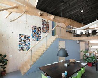 As in House 1.0, House 2.0 relies on recycled wood for support—notably, two enormous former mooring posts of basralocus wood and an entire elm tree, which supports the suspended living room.
