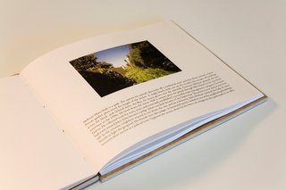 City Notes: San Francisco - Photo 2 of 4 - Here's a typical spread from City Notes. It describes Molinari-Mana Park, an out-of-the-way spot where former waste management man Giovanni Molinari planted an acacia tree sometime in the 1950s.