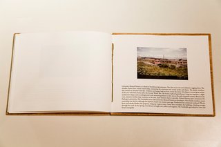City Notes: San Francisco - Photo 4 of 4 - This page describes the University Mound Nursery, a block of abandoned greenhouses. Roses still bloom there.