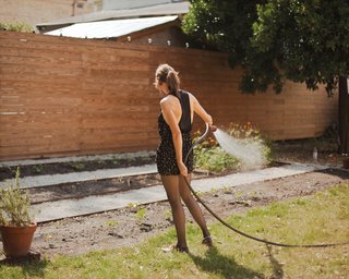 The couple grows a plethora of fruits and vegetables in their large back yard.