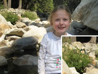 No Ewoks to be found on vacation? Just Photoshop 'em in like this dad did.
