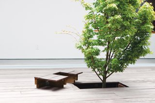 Life Panel<br><br>Because the Japanese maple in the courtyard had to be planted before the ipe deck was laid, Kurath designed a small removable panel to allow access to the tree’s base. The Shozis can pull up the bit of decking to tend to the tree and replace it when they’re through. And because the boards line up perfectly, only the gardener need know it’s there.