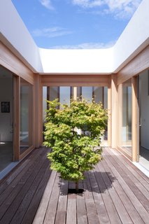 The Japanese maple gives the courtyard its peaceful character.