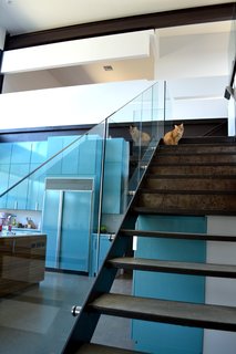 The steel-framed stair with concrete treads and glass guardrail makes a nice perch for the family cat to take in views of the lake and check out what's cooking in the kitchen. Photo by J.C. Schmeil.