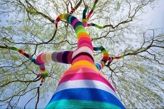 Friday Finds 01.20.12 - Photo 6 of 9 - Here's one of Agata Olek's random acts of yarn.
