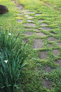 When a nearby road washed out in a flood, Chris and Tanya hauled the broken bits of asphalt to their property and made a walkway leading to the entrance.